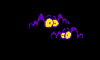CLICK HERE