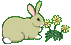 BUNNY