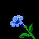 FLOWER WITH A BUTTERFLY