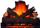 CAMPFIRE