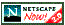 T0 DOWN LOAD NETSCAPE