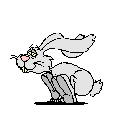 RABBIT RUNING